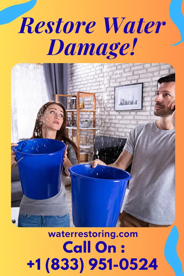 water restoration Platinum Damage Recovery & Sons Bagley