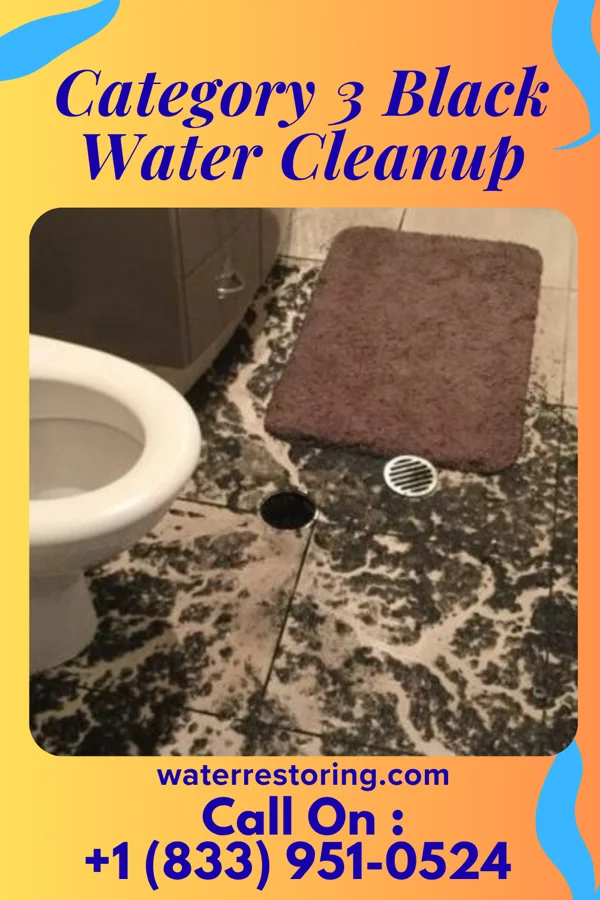 Category 3 Black Water Cleanup in Bagley, MN