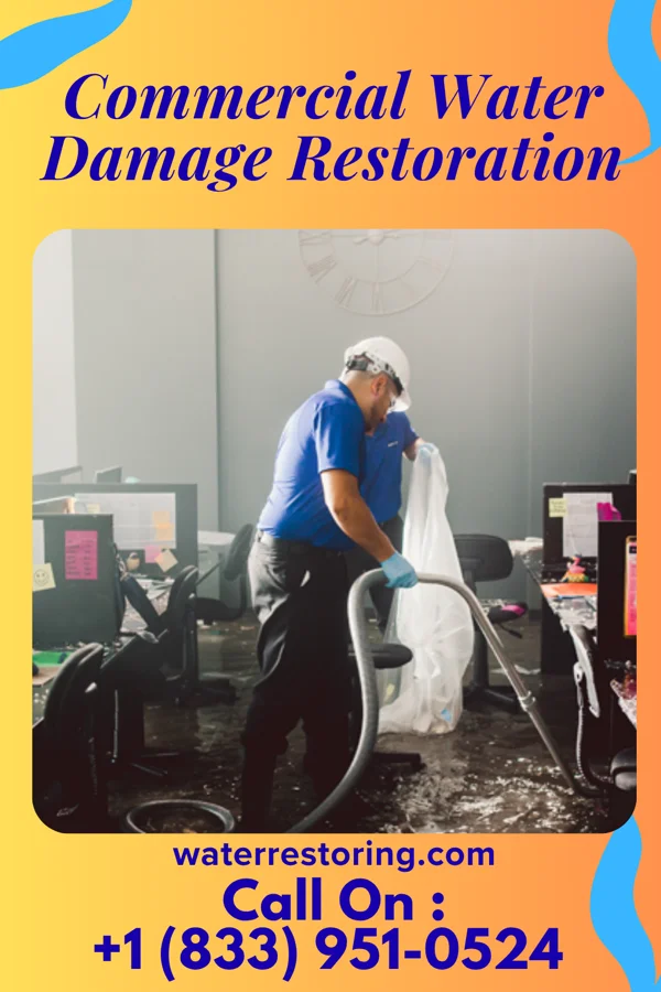 Commercial Water Damage Restoration in Bagley, MN
