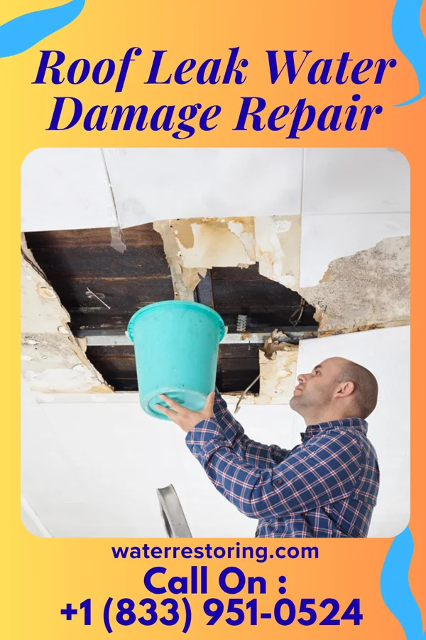 Roof Leak Water Damage Repair in Bagley, MN