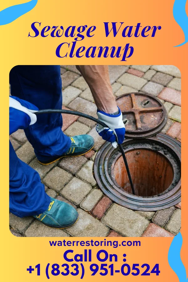 Sewage Water Cleanup in Bagley, MN